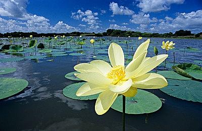 官宣！Konami将在10月20日公布《寂静岭》新情报